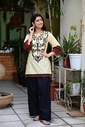 Meher Beige Embroidered Co-ord Set