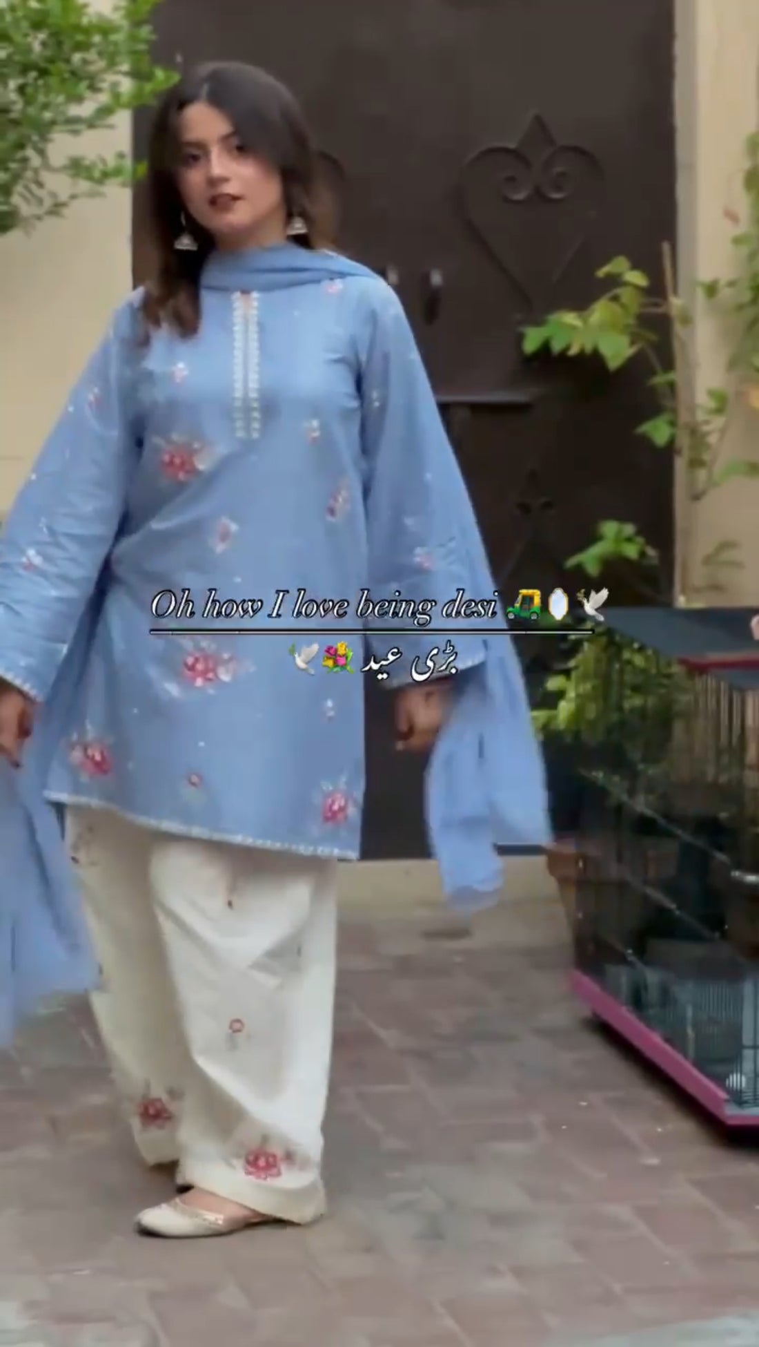 Duppta Farsi suit